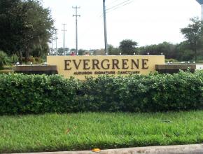 Evergrene foreclosures in Palm Beach Gardens